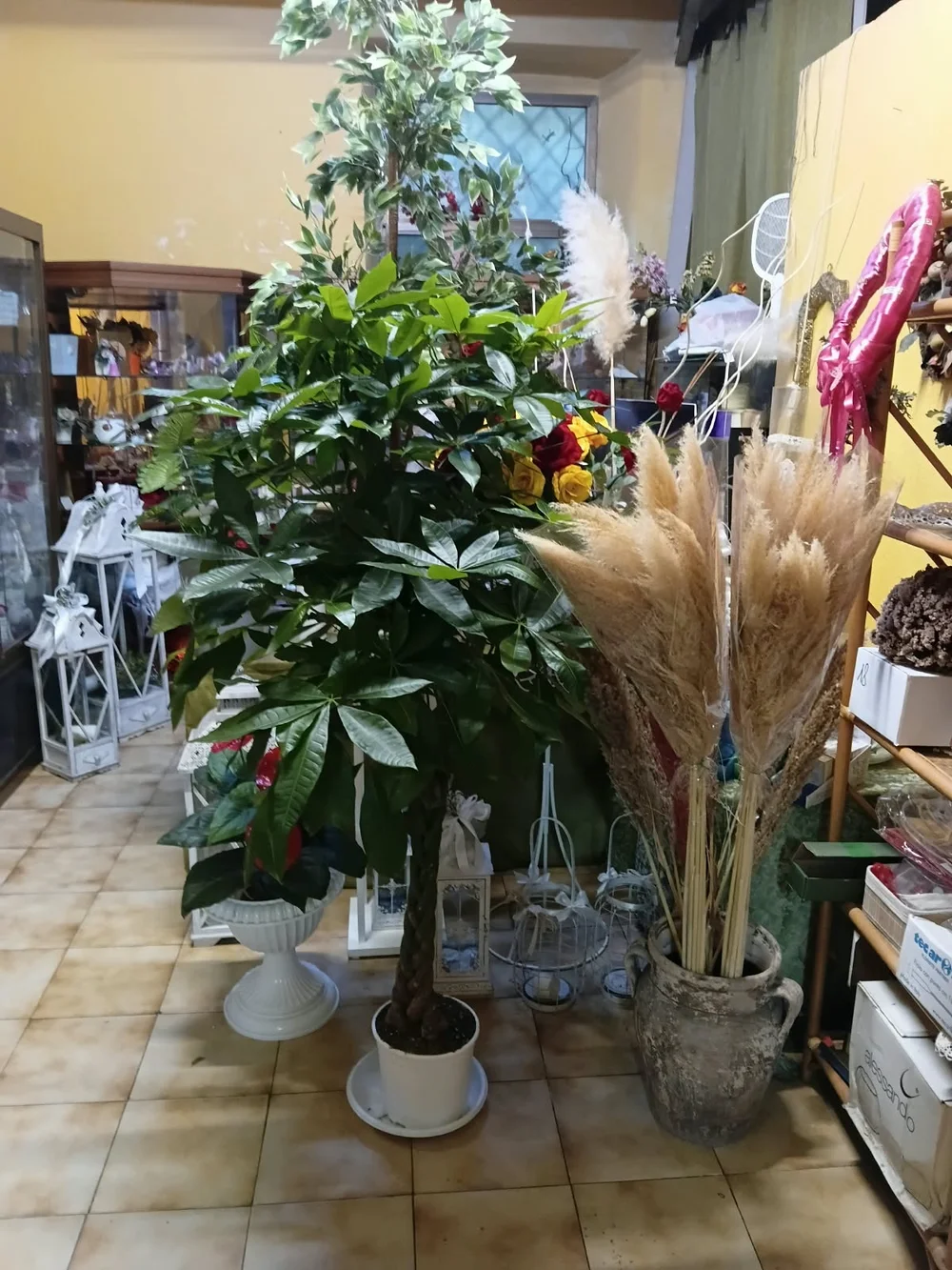 Piante, vasi e accessori floreali nel negozio La Primavera